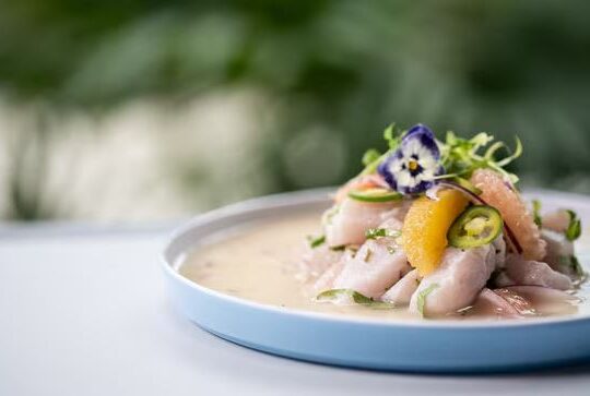 Dining at the Belgrove